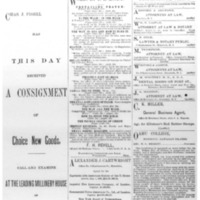 The Friend - 1886.10 - Newspaper