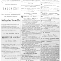 The Friend - 1886.06 - Newspaper