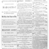 The Friend - 1886.07 - Newspaper