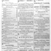 The Friend - 1885.07 - Newspaper